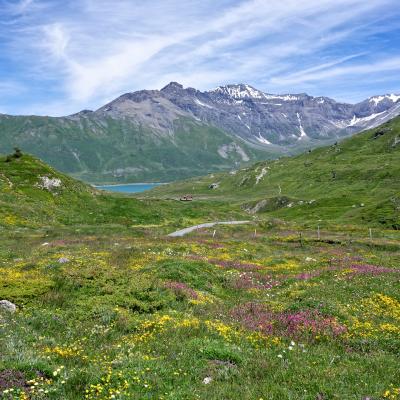 Mont Cenis - Alps