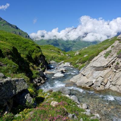 Mont Cenis - Alps