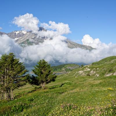 Mont Cenis - Alps