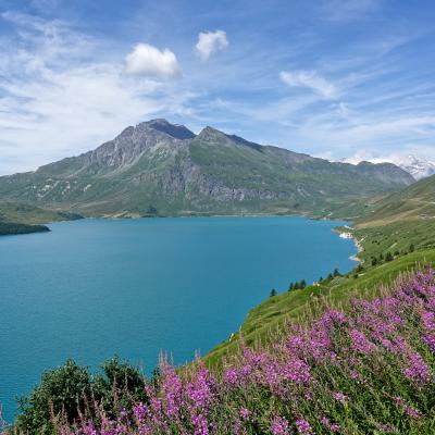 Mont Cenis - Alps