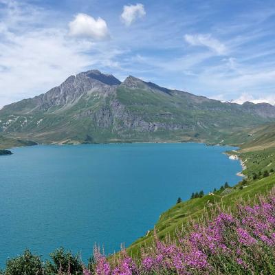 Mont Cenis - Alps
