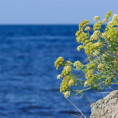 Bulgaria - Black Sea