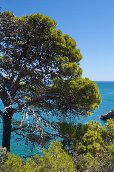 Puglia - Italy