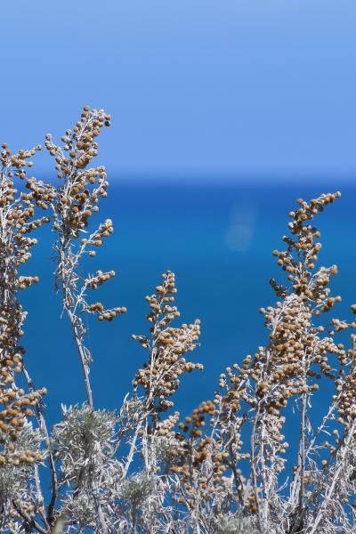 Puglia - Italy