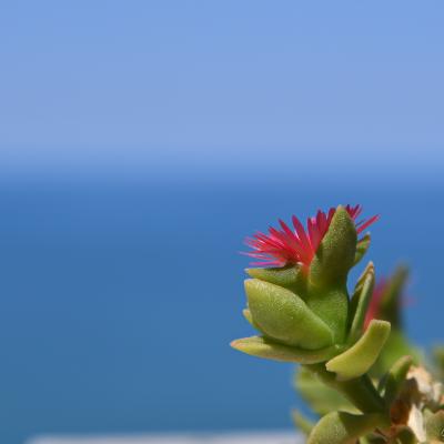 Puglia - Italy