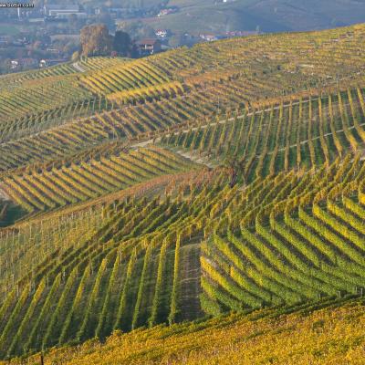 Langhe