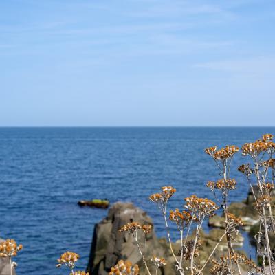 Sozopol