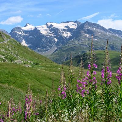 Haute Maurienne
