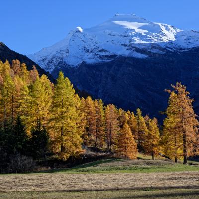 Haute Maurienne