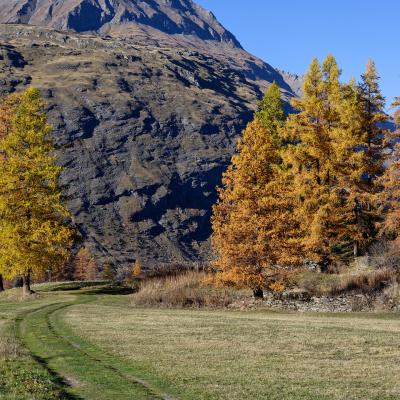 Haute Maurienne
