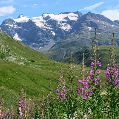 France - Alps