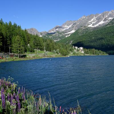 Ceresole Reale